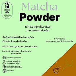 Matcha Powder Özel Seri 3.5kg