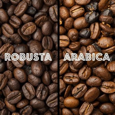 Robusta & Arabica Çekirdekleri