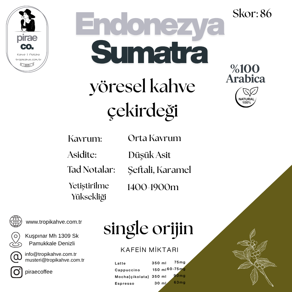Pirae CO. ®️ | Endonezya SUMATRA Çekirdek